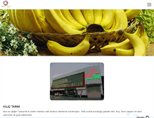 Tablet Screenshot of kilictarim.com